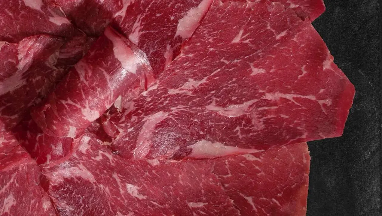 HISTORIA-cecina-leon