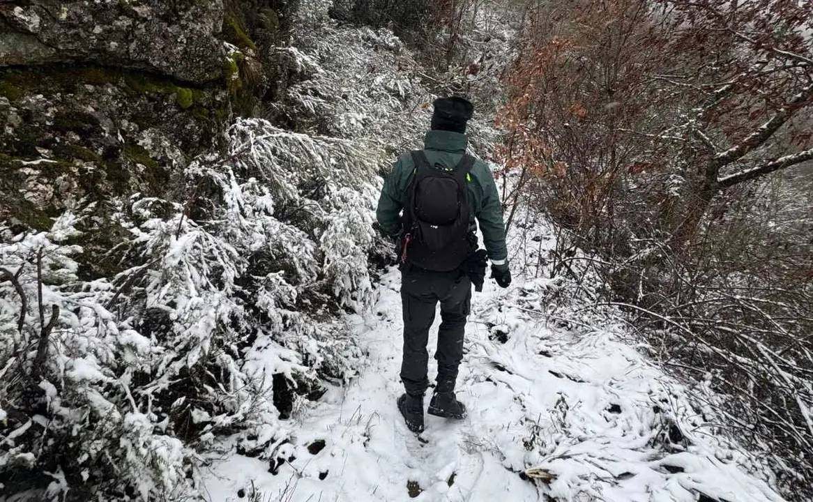 Efectivos de la Guardia Civil durante las labores de b&uacute;squeda y rastreo de la desaparecida.