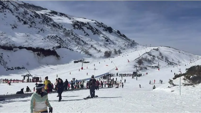 20260222-Leitariegos.jpeg_1119806932