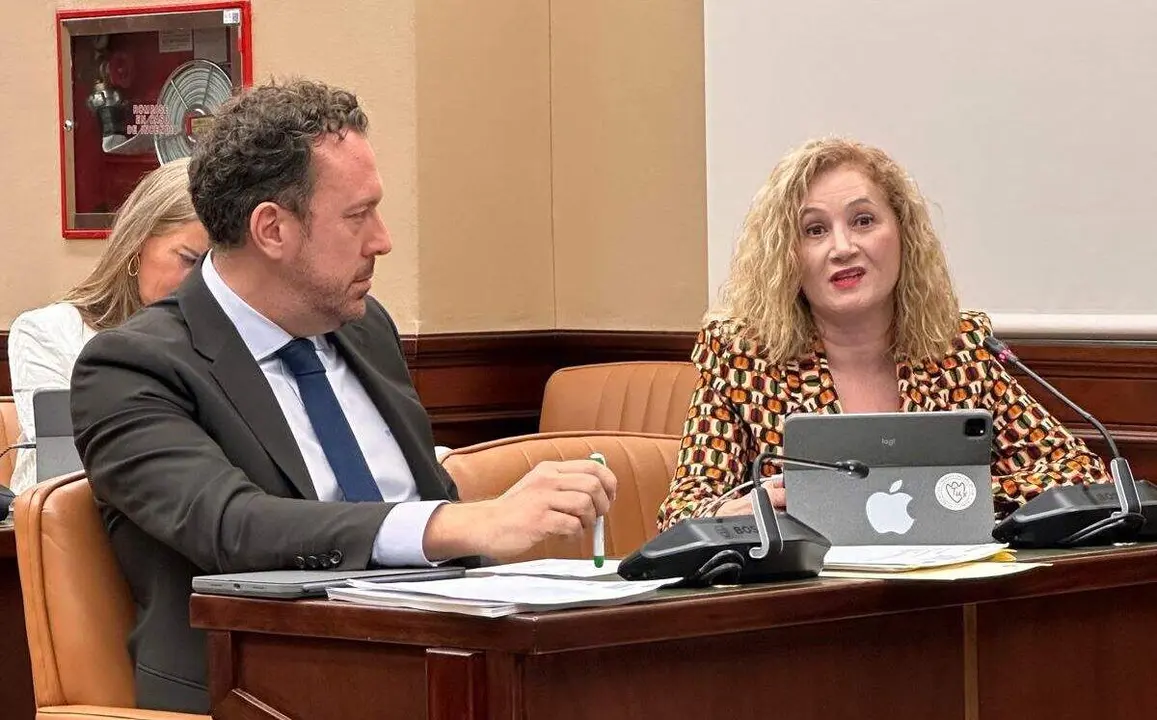 La diputada Silvia Franco (PP) en la Comisi&oacute;n de Transportes.