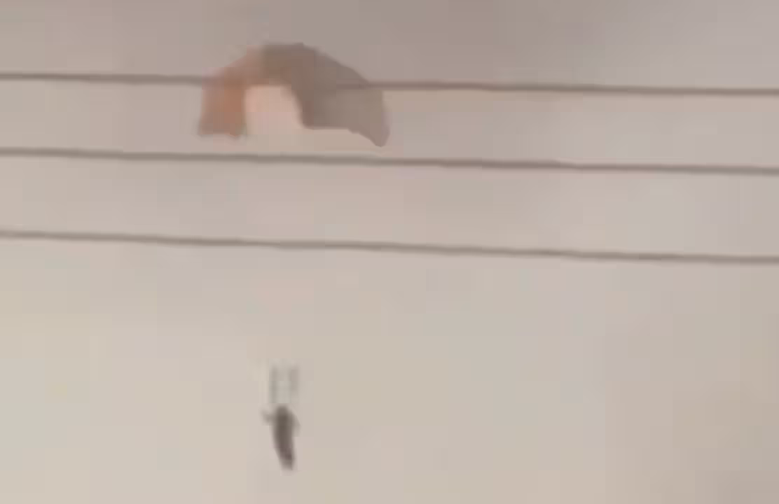 SQINCLTOKNEVTDL34AFOS42QH4