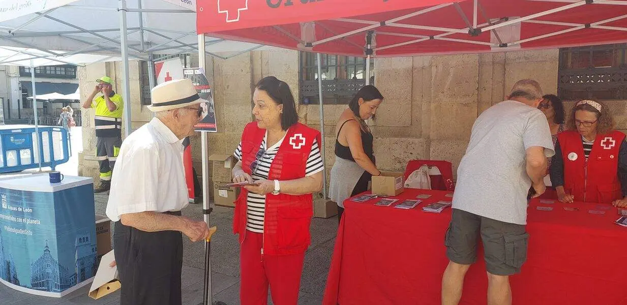 IMG Actividad OLA calor 1