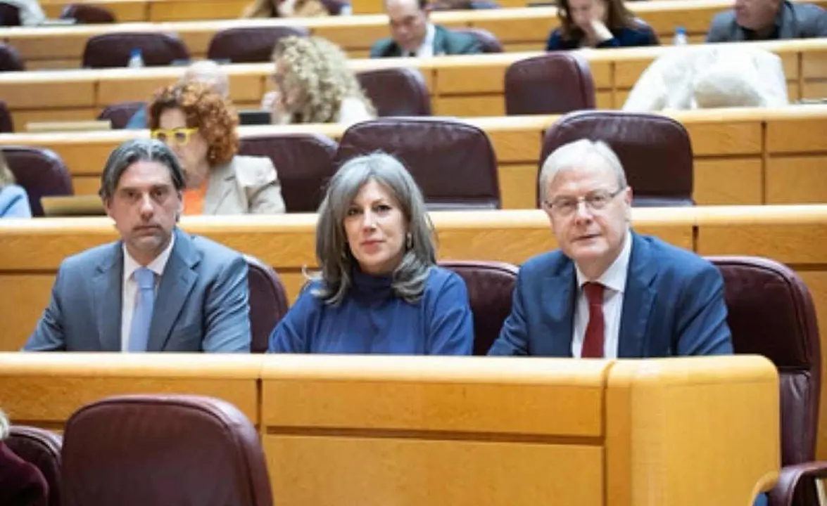 Los senadores del PP denuncian los incumplimientos del Gobierno con Le&oacute;n.