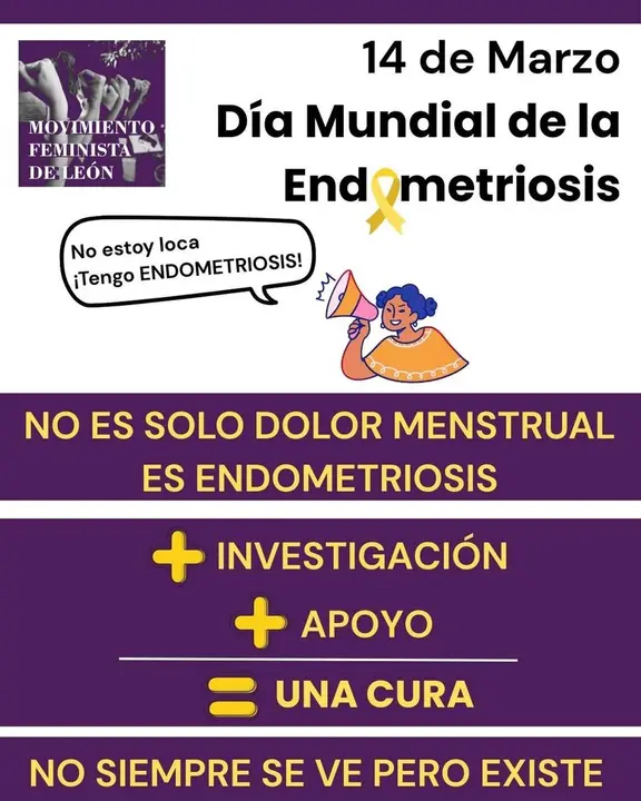 Cartel anunciador del D&iacute;a Mundial de la Endometrosis.