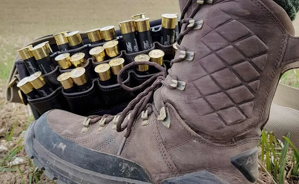 ngo1-shoe-3313318_1920