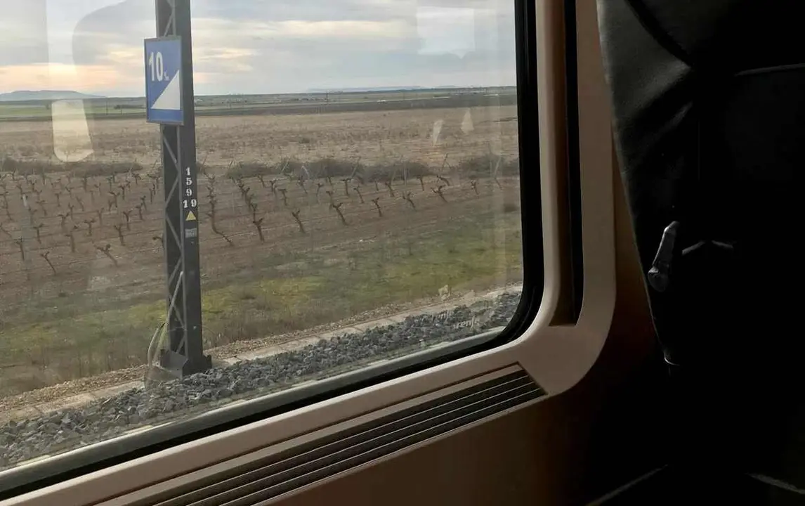 Imagen tomada por un pasajero con el tren detenido rumbo a Le&oacute;n.