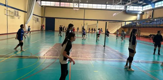 voleibol