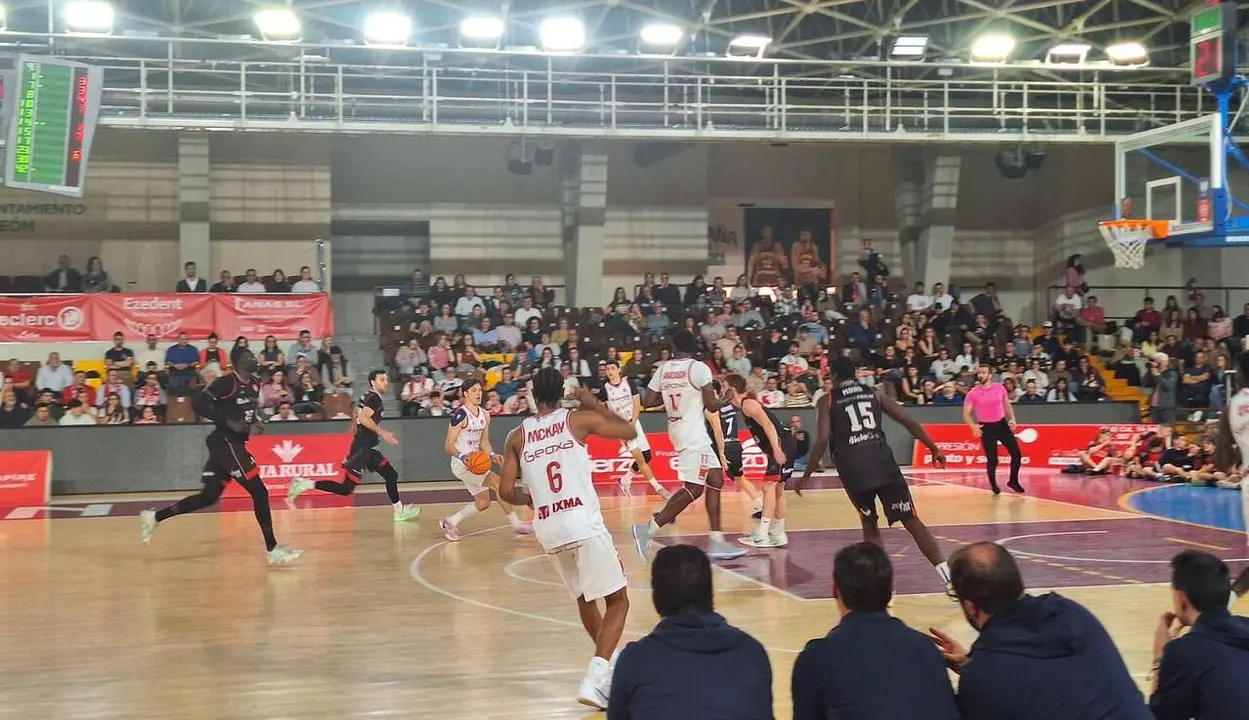 WhatsApp Image 2026-03-22 at 19.08.09 (2)