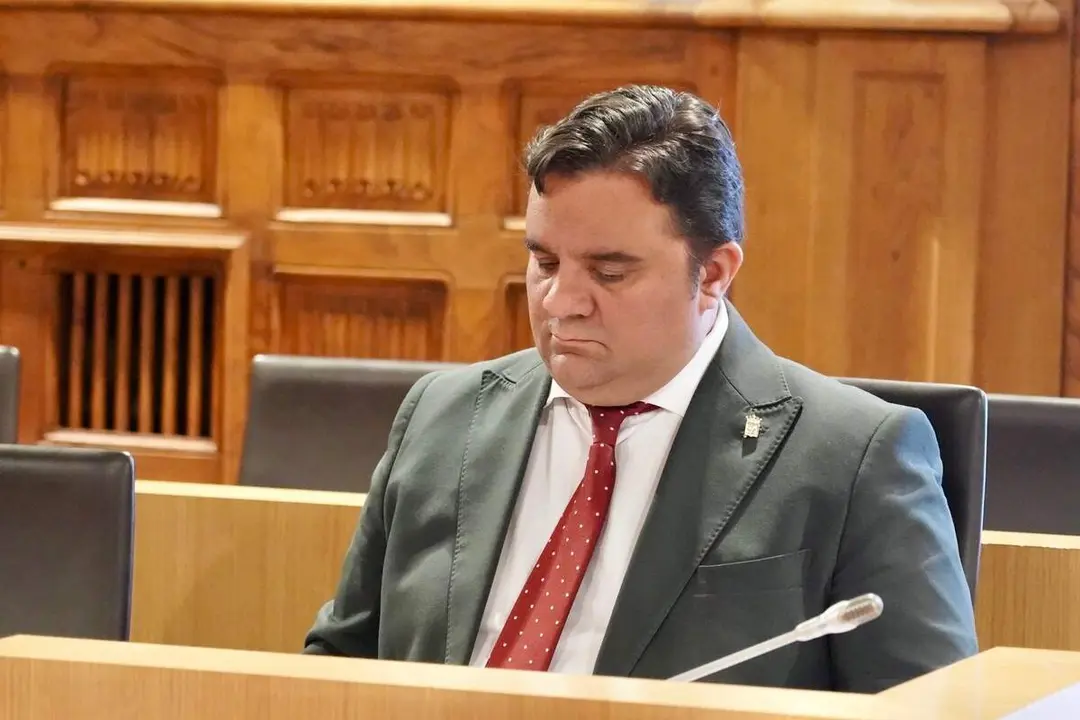 La Diputaci&oacute;n de Le&oacute;n celebra pleno ordinario