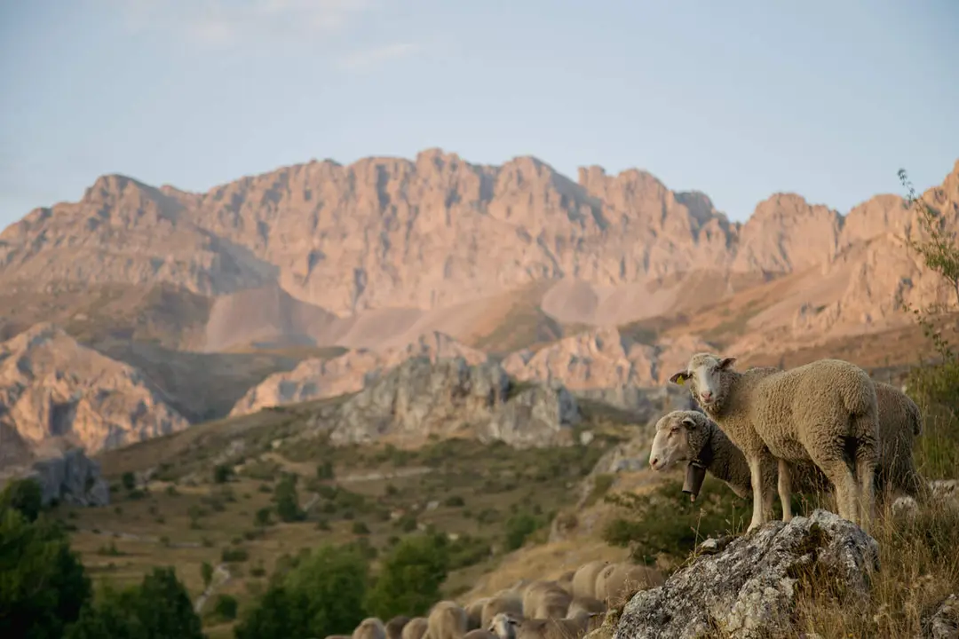 Fotograf&iacute;a de Kater&iacute;n &Aacute;lvarez 1
