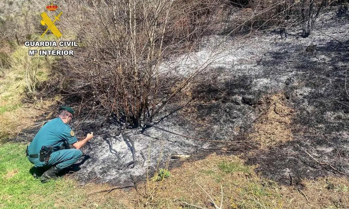 Efectivos del Seprona examinan la zona en la que se inici&oacute; el incendio.