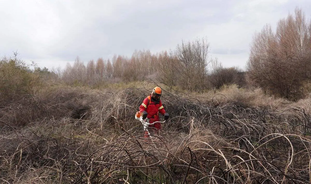 Un efectivo del Servicio de Prevenci&oacute;n y Extinci&oacute;n de Incendios realiza tareas de desbroce durante el invierno en la Sierra de la Culebra (Zamora)