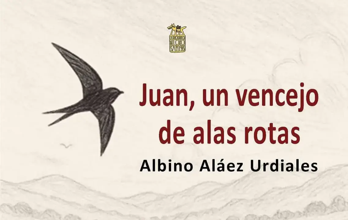 'Juan, un vencejo de alas rotas'