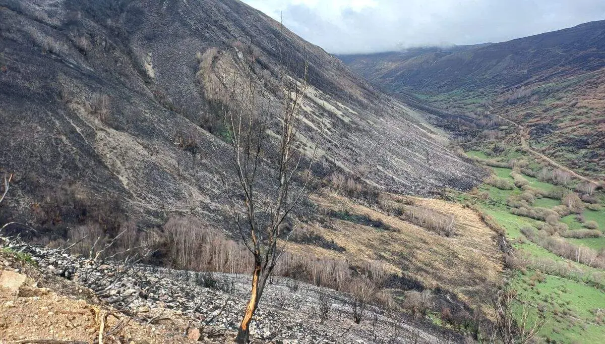 incendio forestal fasgar