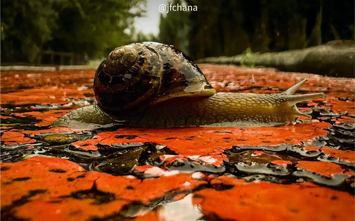 &lsquo;Postales desde el vac&iacute;o