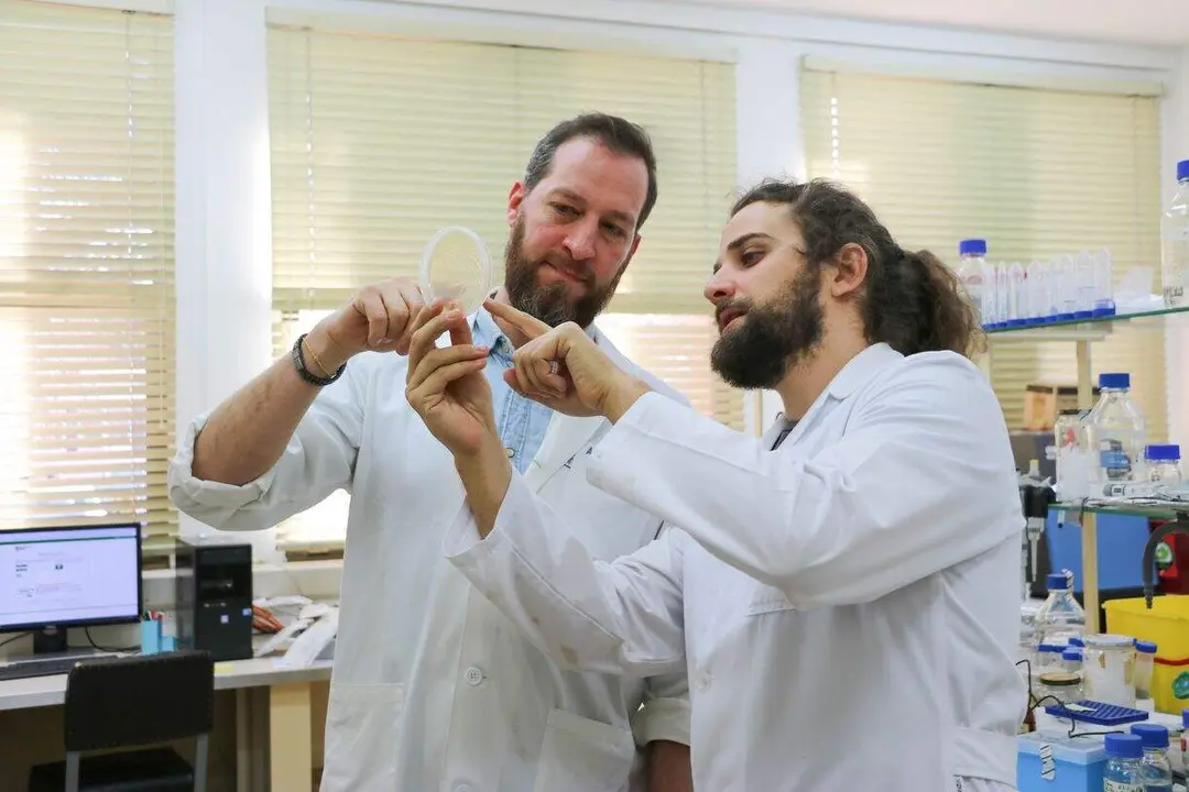 Investigadores de la ULE estudian c&oacute;mo reforzar la armadura de las plantas frente a enfermedades bacterianas aplicando residuos de t&eacute; verde