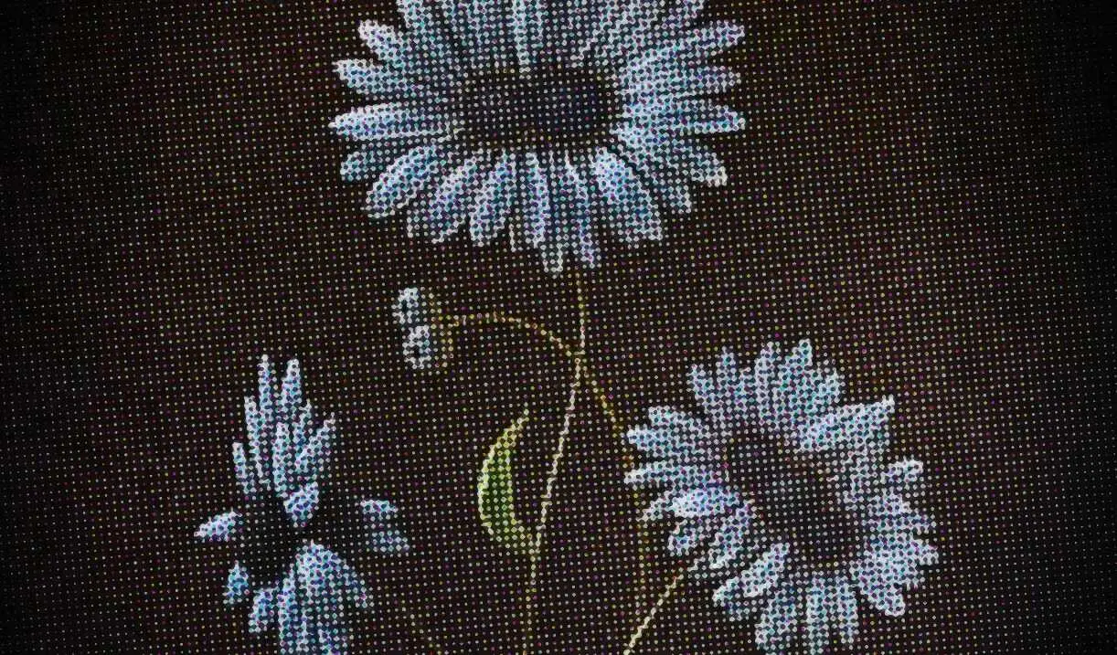 Imagen parcial del cartel promocional de la muestra expositiva.