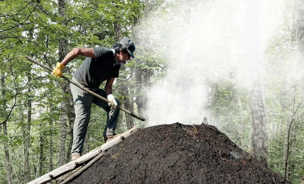 misi&oacute;n arb&oacute;n