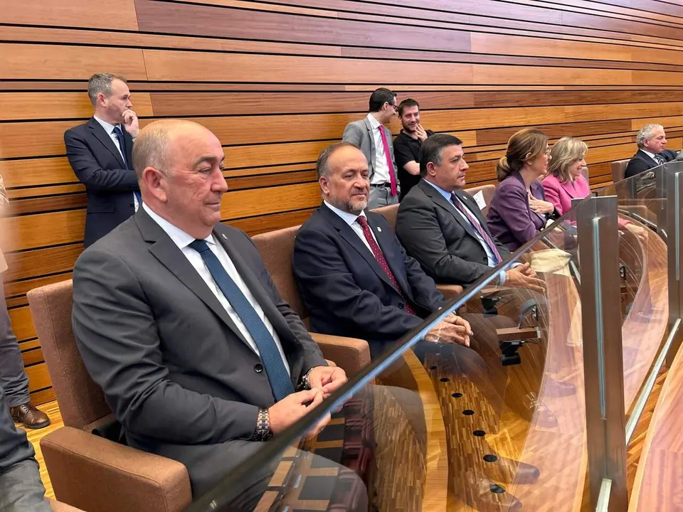 El presidente de la Diputaci&oacute;n de Le&oacute;n, Gerardo &Aacute;lvarez Courel, este martes en las Cortes. Foto: Diputaci&oacute;n de Le&oacute;n.