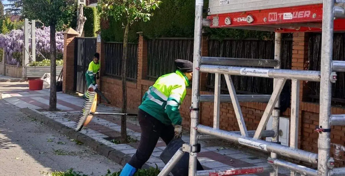 poda San Andr&eacute;s del Rabanedo