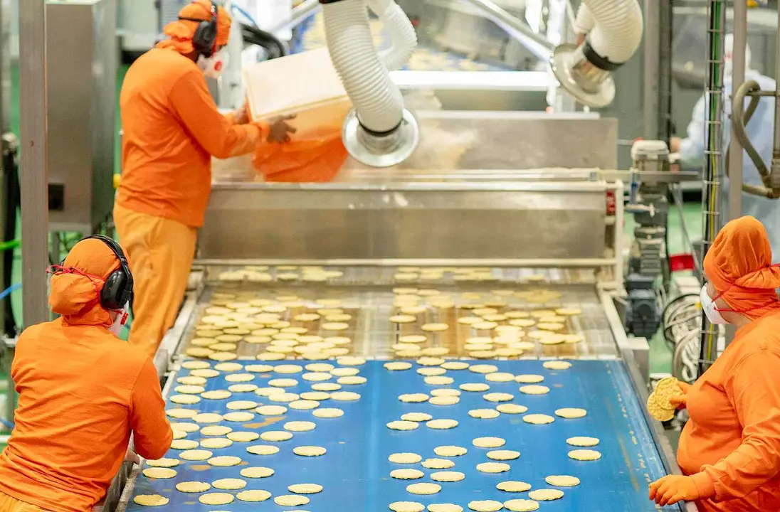 Proceso de elaboraci&oacute;n de tortitas de ma&iacute;z, en Cerealto.