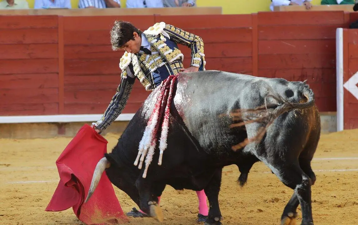 2&ordf; Corrida de abono de la feria de San Antol&iacute;n, con toros de N&uacute;&ntilde;ez del Cuvillo para los diestros Sebastian Castella,en la imagen; Manzanares y Pablo Aguado