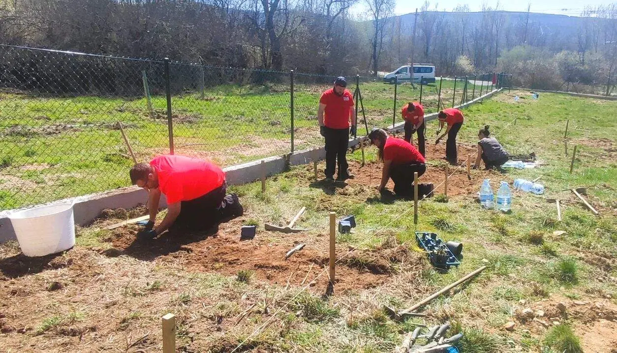 Parcela experimental en Quintana 1