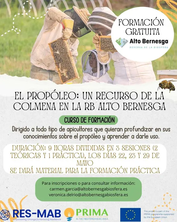 P&oacute;ster curso prop&oacute;leo