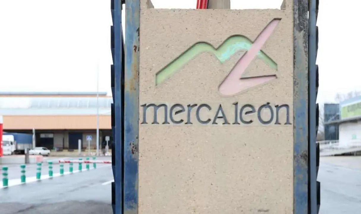 Imagen del acceso principal a Mercale&oacute;n.