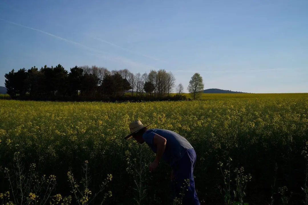 'Radio La Fontana', la solidaridad y la creatividad se dan la mano en Armunia