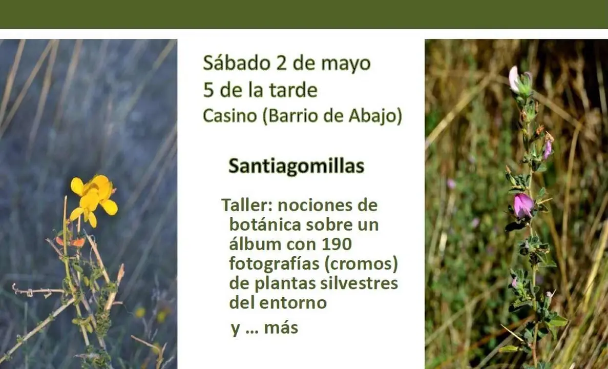 Imagen del cartel promocional de la actividad.