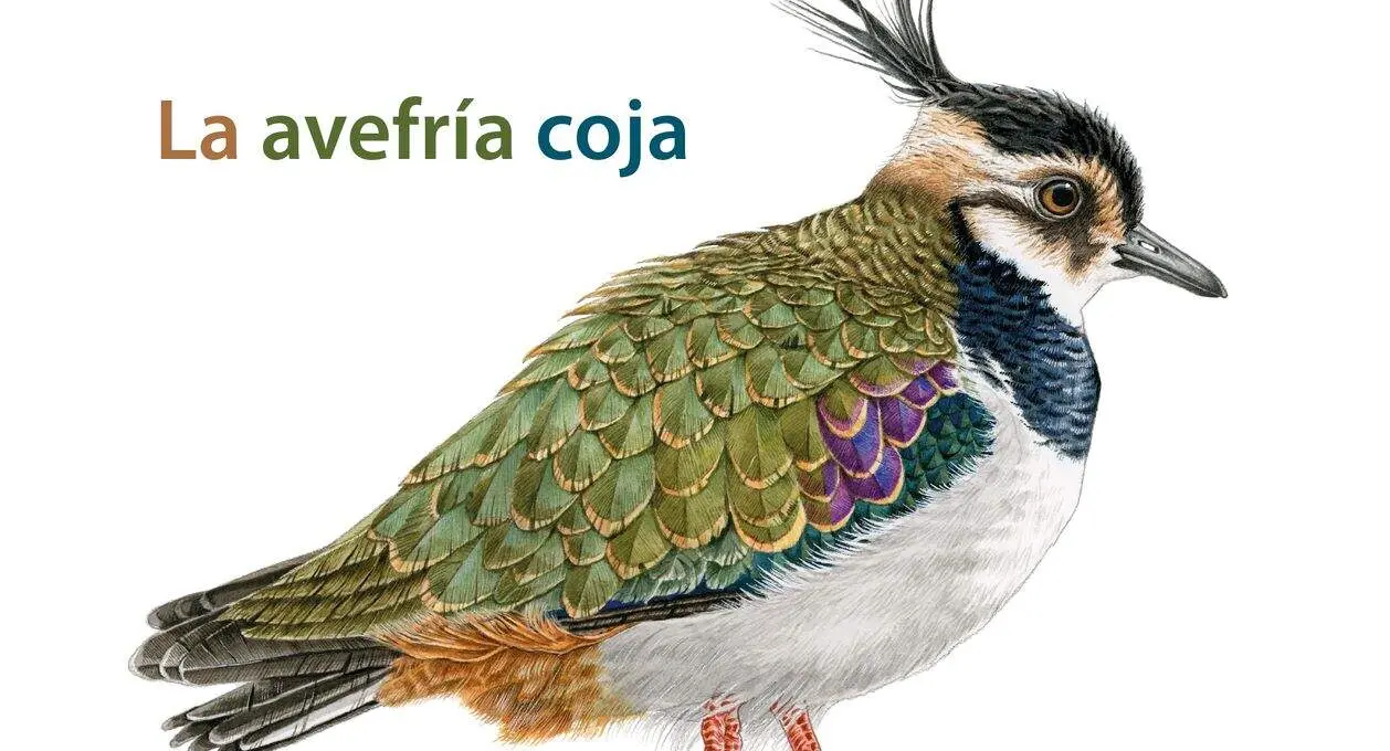 Portada del libro 'La avefr&iacute;a coja' del escritor Joaqu&iacute;n Alegre y editado por la Editorial Rimpego