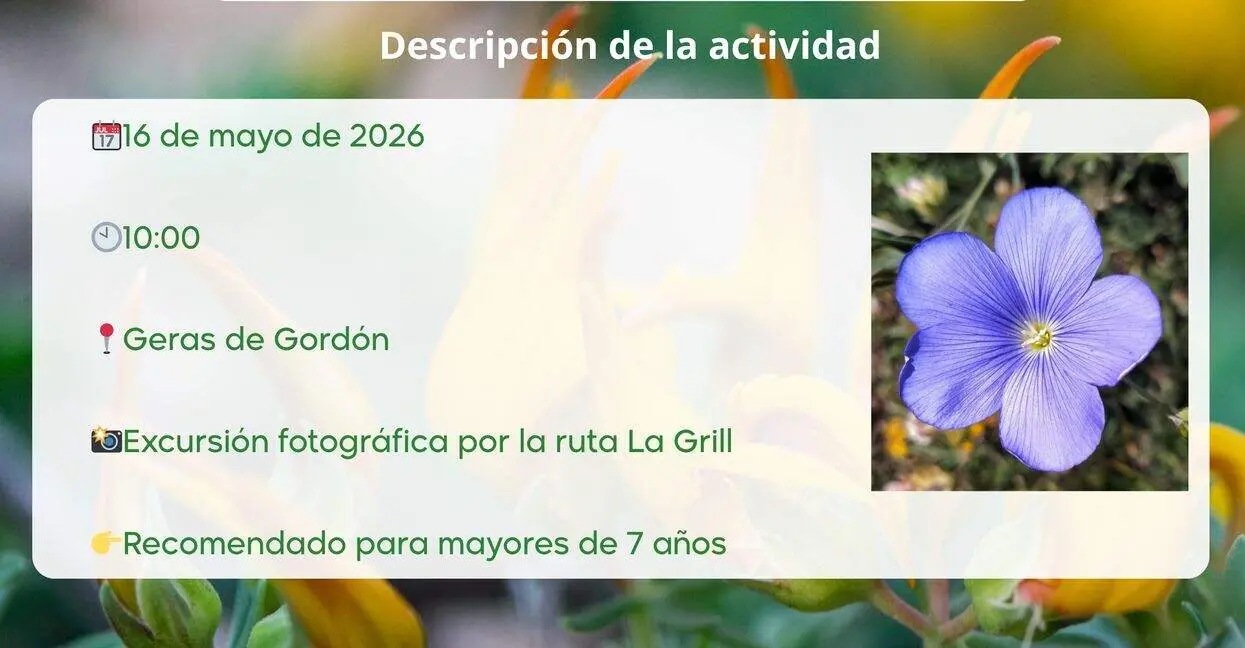 Cartel-Actividades