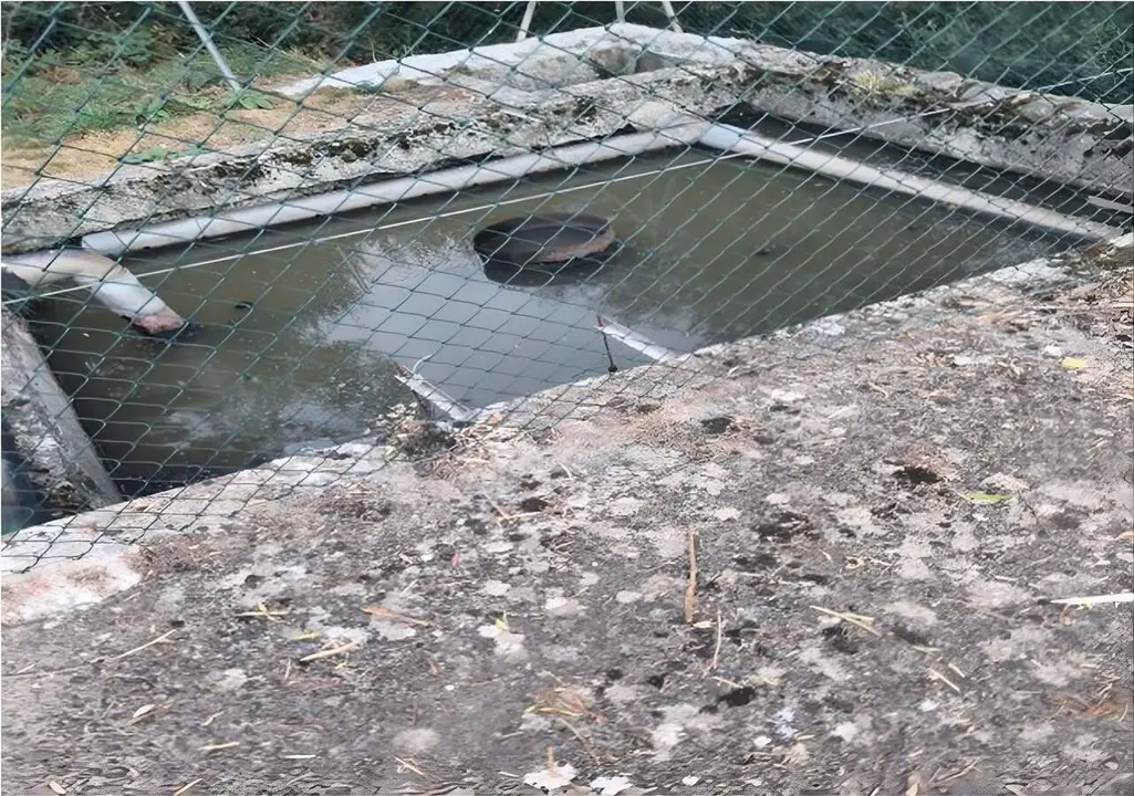 depuradora boca de hu&eacute;rgano