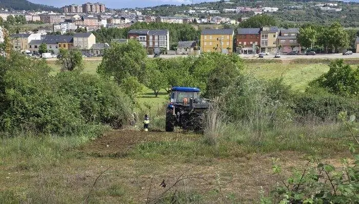 Trabajadores realizando mantenimiento en el &aacute;rea del Puente Boeza. Foto: Ayto. Ponferrada.