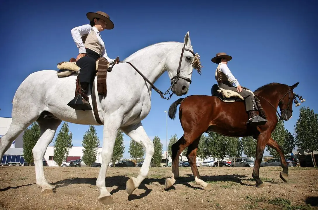 Concurso Nacional de Doma Vaquera de la VII Feria del Caballo celebrada en Ciudad Rodrigo (Salamanca). Foto: Ical.
