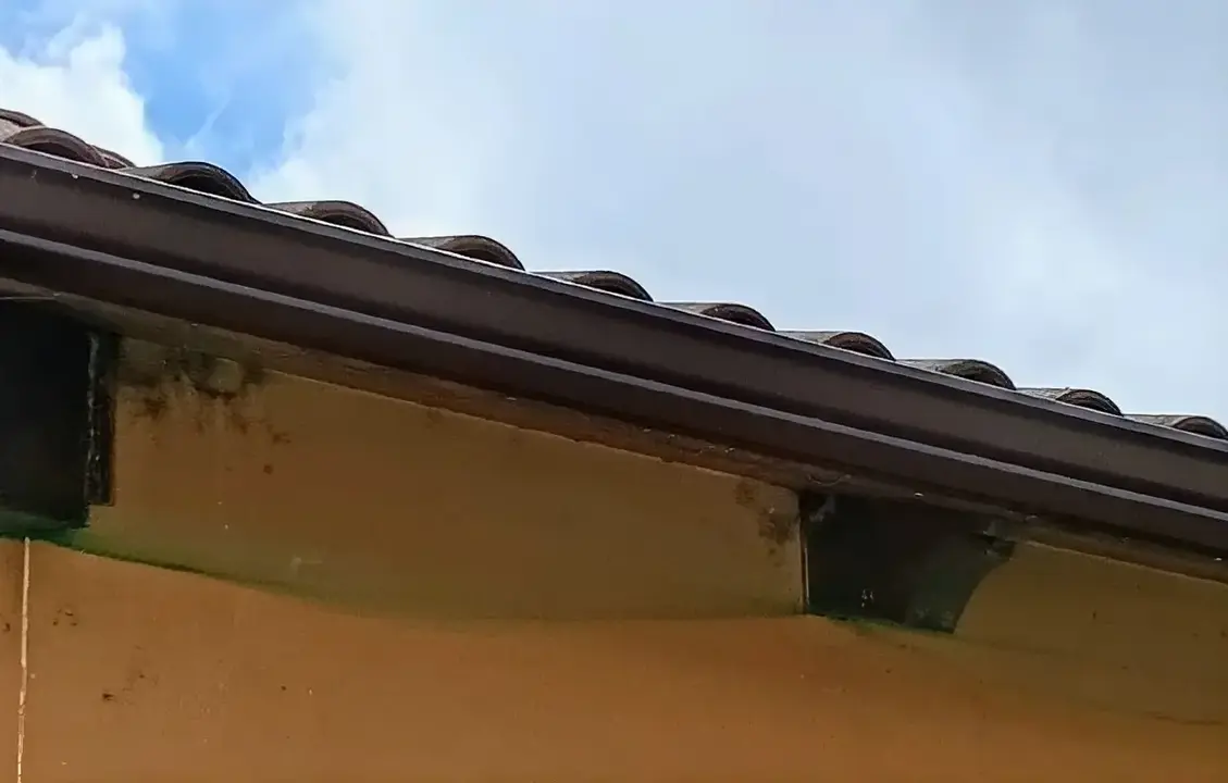 Sacrificio Cero denuncia el uso de redes para evitar el anidamiento de aves en la Casa de la Cultura de Moz&oacute;ndiga. Foto: Sacrificio Cero Le&oacute;n.