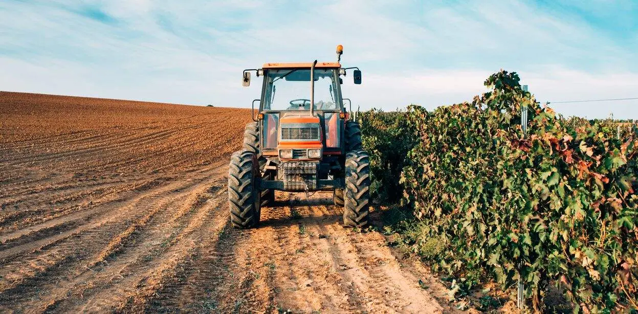 Tractor in a vineyard