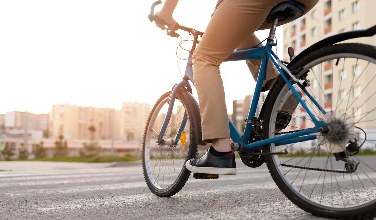 d&iacute;a de la bici