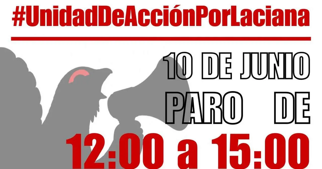 CARTEL MANIFESTACI&Oacute;N 10J laciana
