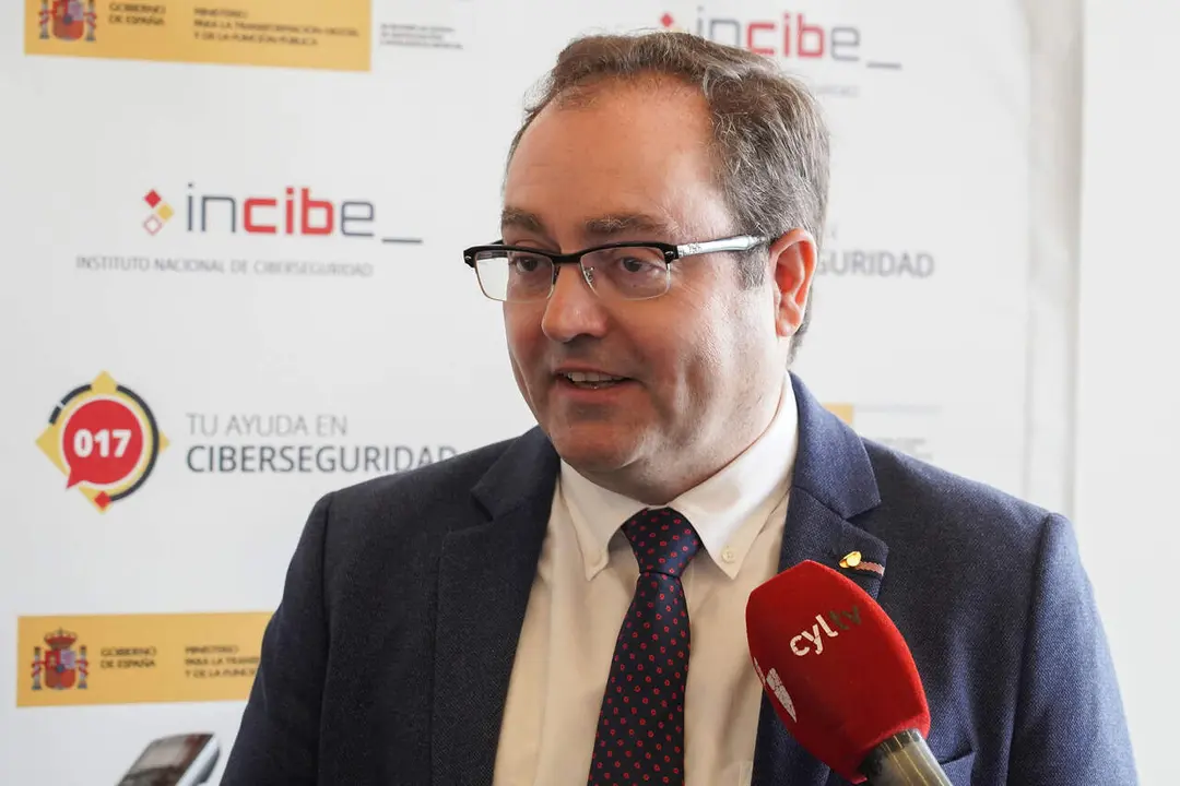 El director del Incibe, F&eacute;lix Barrio.