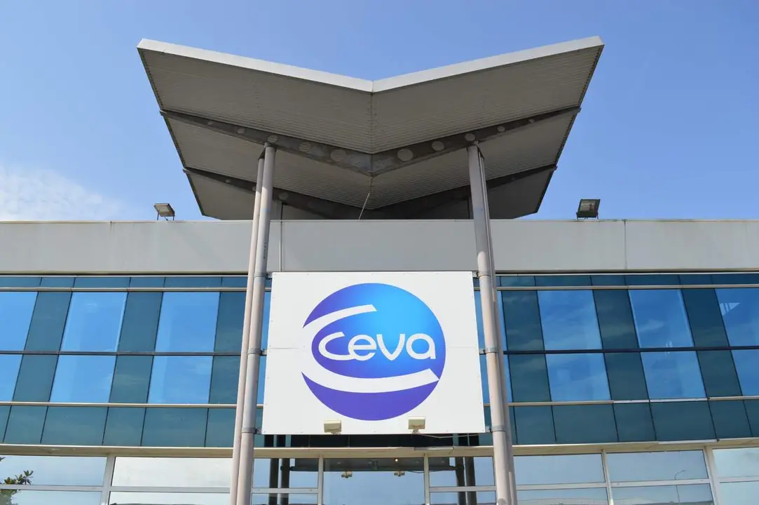 ceva