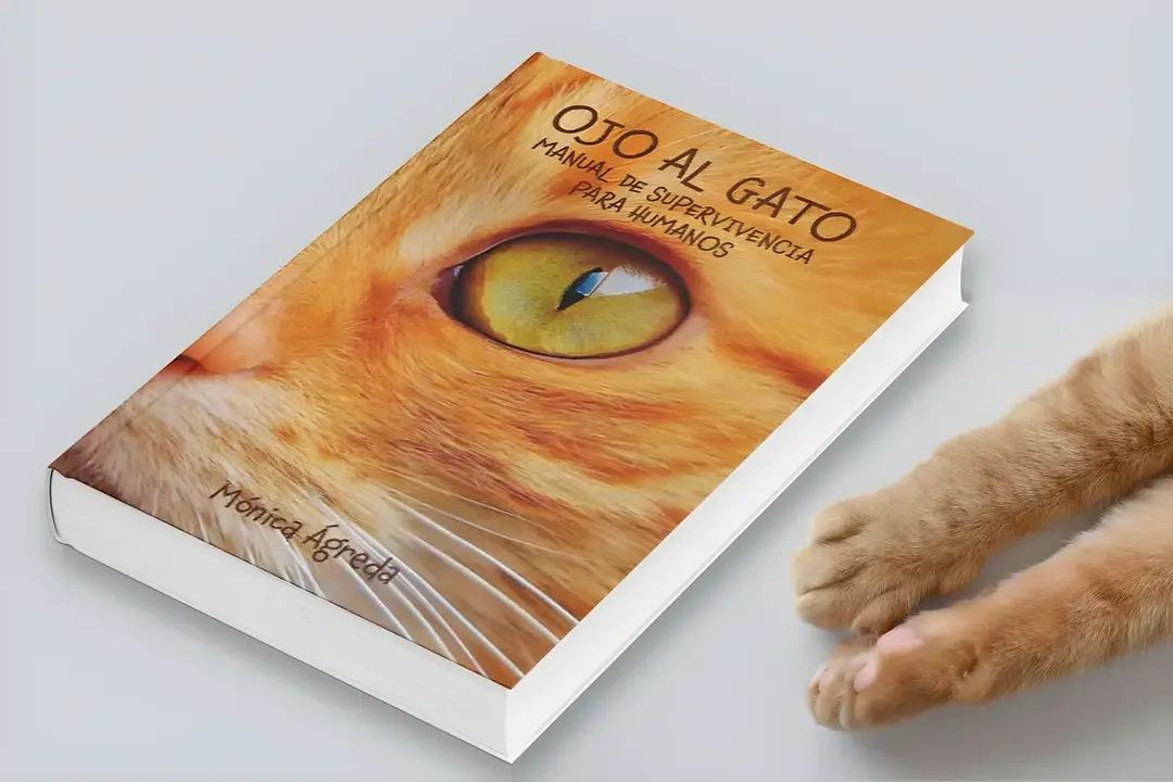 ojo al gato