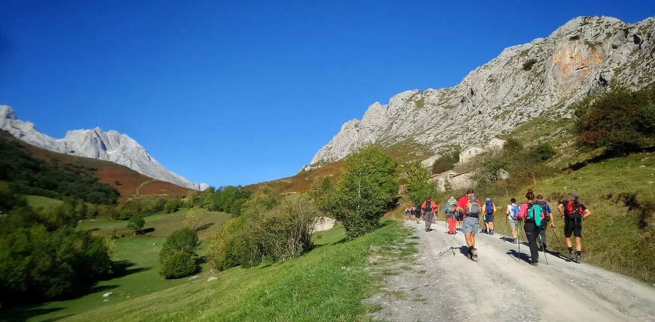 ruta