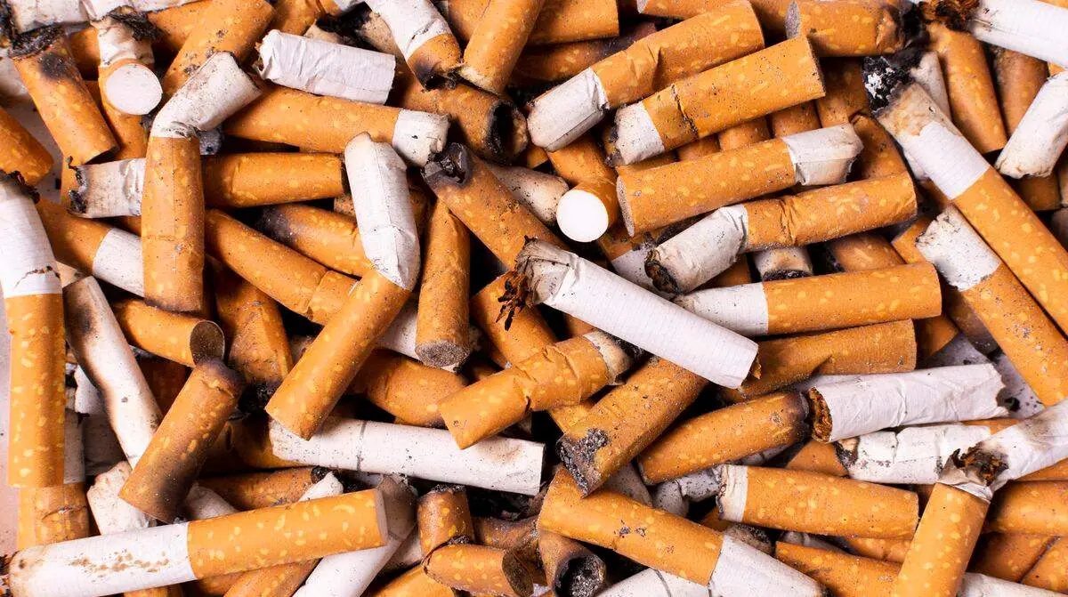 tabaco 2