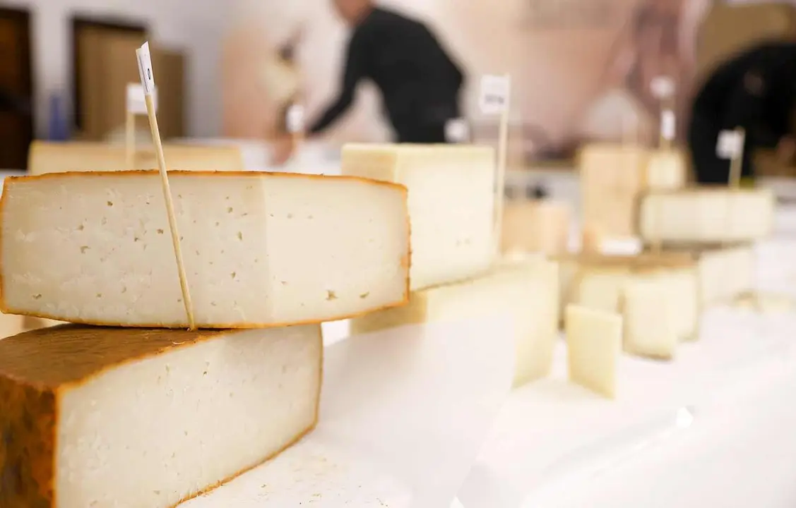 Queso