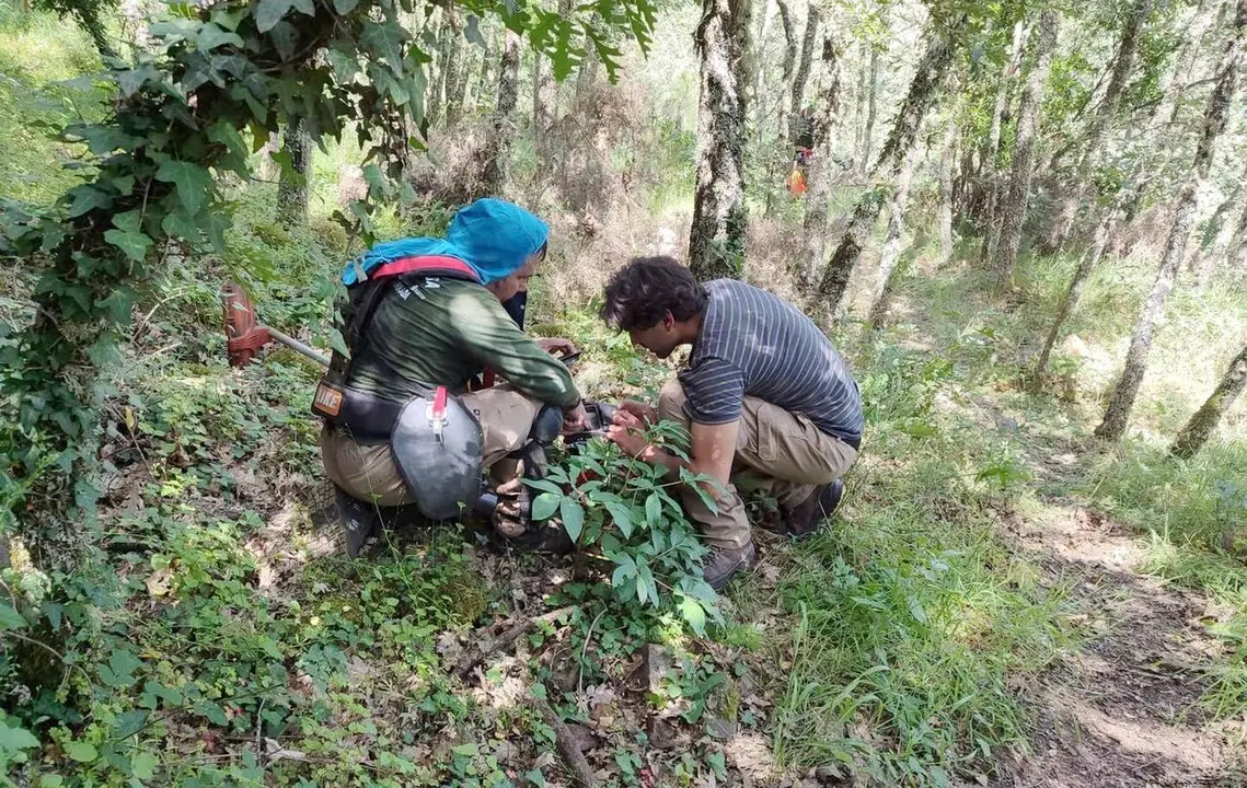 Trabajadores de la Escuela Taller San Andr&eacute;s de Montejos, durante los trabajos de desbroce.