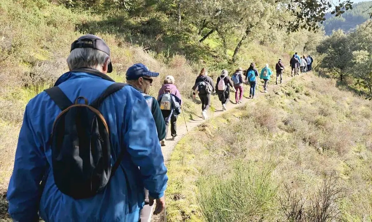 Camino para la Diabetes (1)