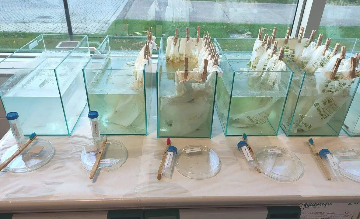 Cultivos experimentales instalados en los centros educativos 1