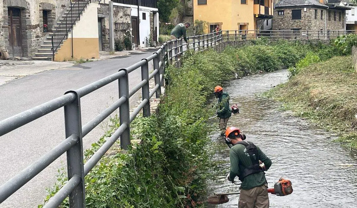 Alumnos del taller La Tebaida desbrozan la ribera del r&iacute;o Oza en Valdefrancos (Le&oacute;n)